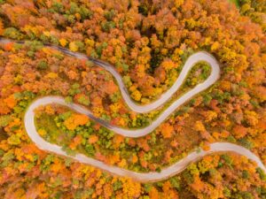 Eine stark gewundene Stra&szlig;e f&uuml;hrt durch einen golden herbstbelaubten Wald.